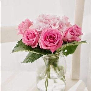 Meet your Posher, Wendelyn